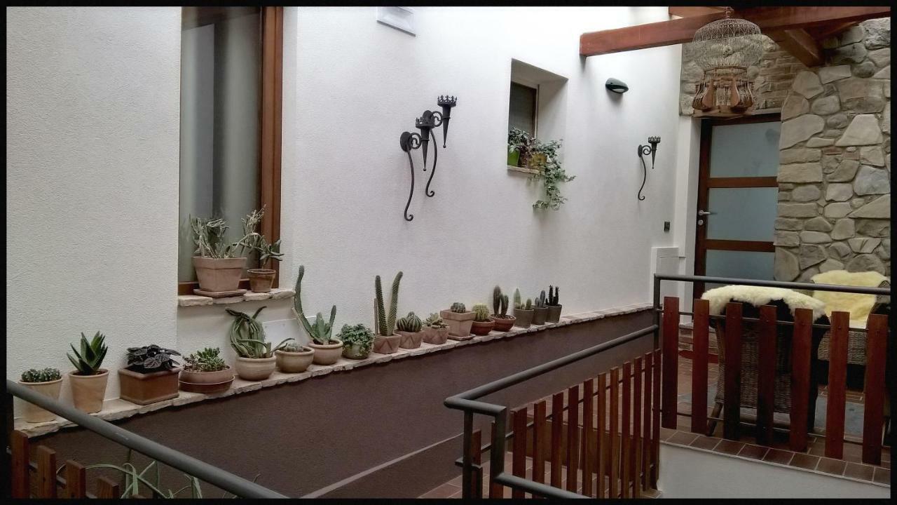 Casa Vacanze Borc Dai Cucs Faedis Dış mekan fotoğraf